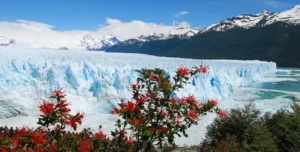 Glaciar Perito Moreno, El Calafate from Buenos Aires
